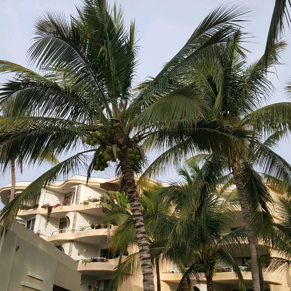 Meet your Posher, Pauline